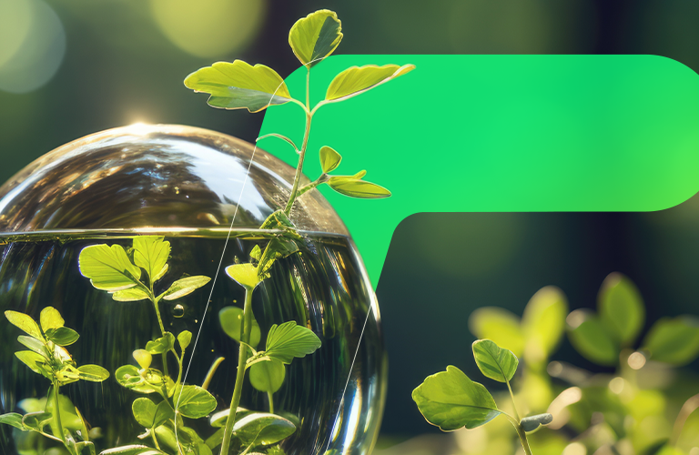 Desenvolvimento Sustentável: rumo a um futuro melhor para todos