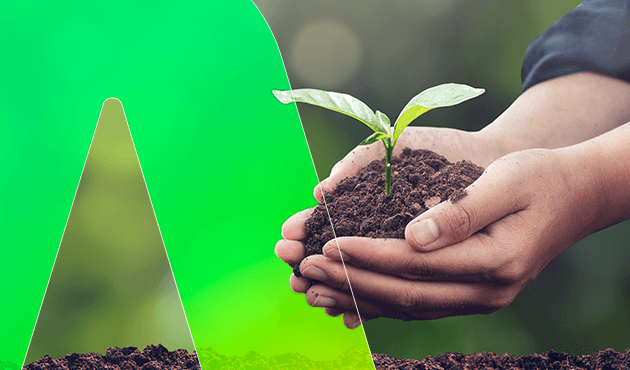ISO 14001 e ESG: juntas pela sustentabilidade empresarial