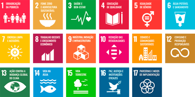 Os 17 Objetivos de Desenvolvimento Sustentável e seus desafios até 2030 ...